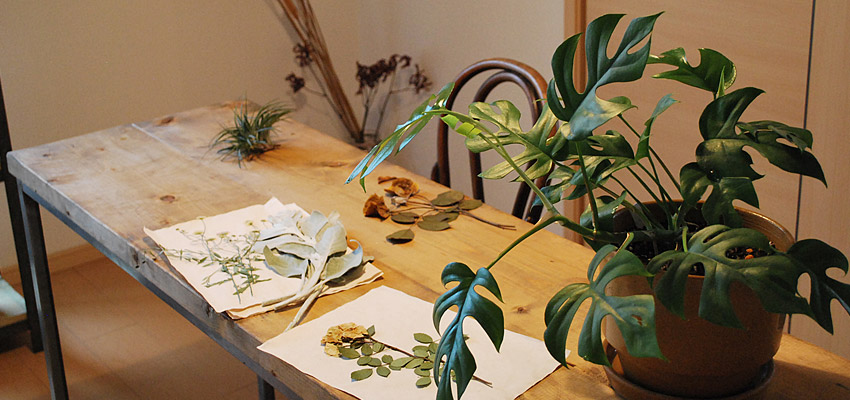 三河土の植木鉢「井澤製陶」家のインテリア。あなたのライフスタイル。001